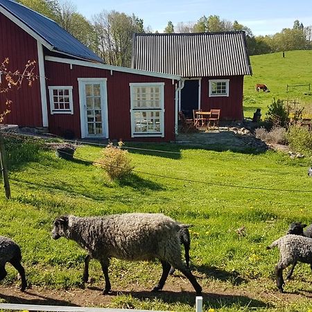 Sjoebacken Gard Lerdala Exterior foto